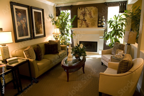 Living room with luxury decor.