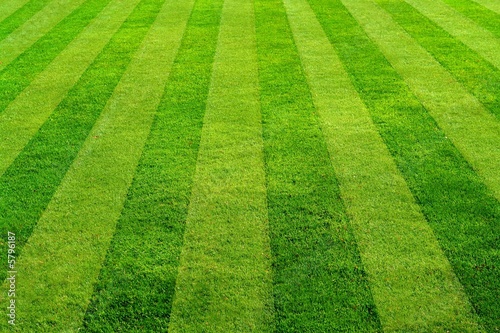 grass stripes