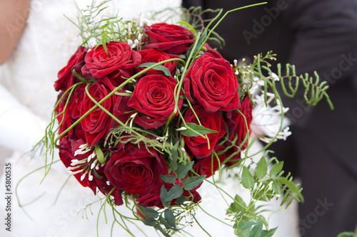 nice red roses