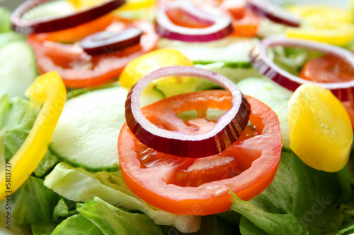Fresh Salad