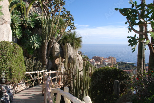 monaco photo