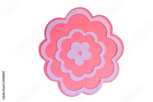 Pink and Purple Flower