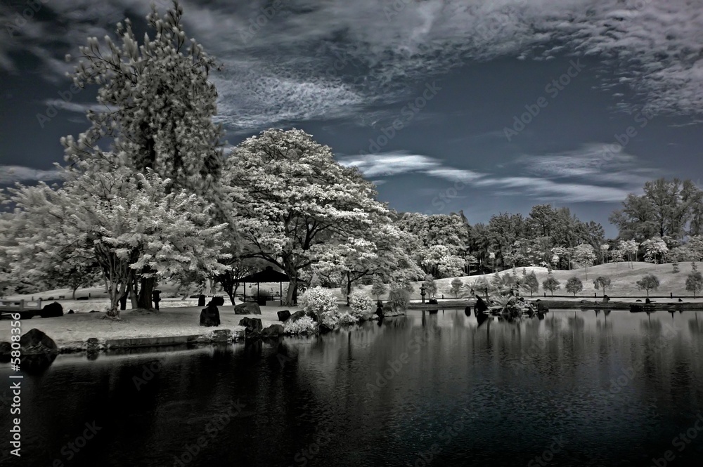 infrared - lake, cloud and tree in the parks