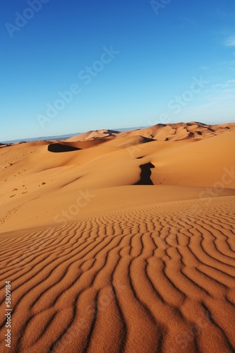 Dune in desert