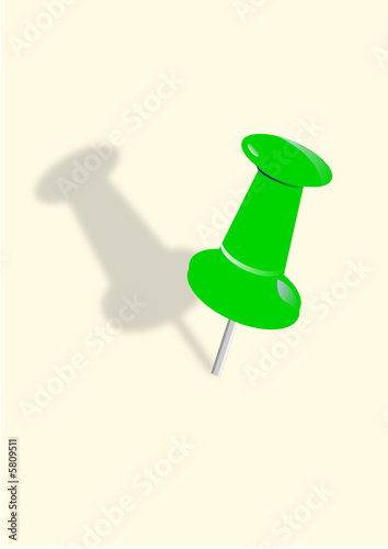 punaise verte