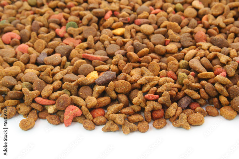 Pet's food (cat, dog, etc.) over the white background Pet's food (cat, dog, etc.) over the white background
