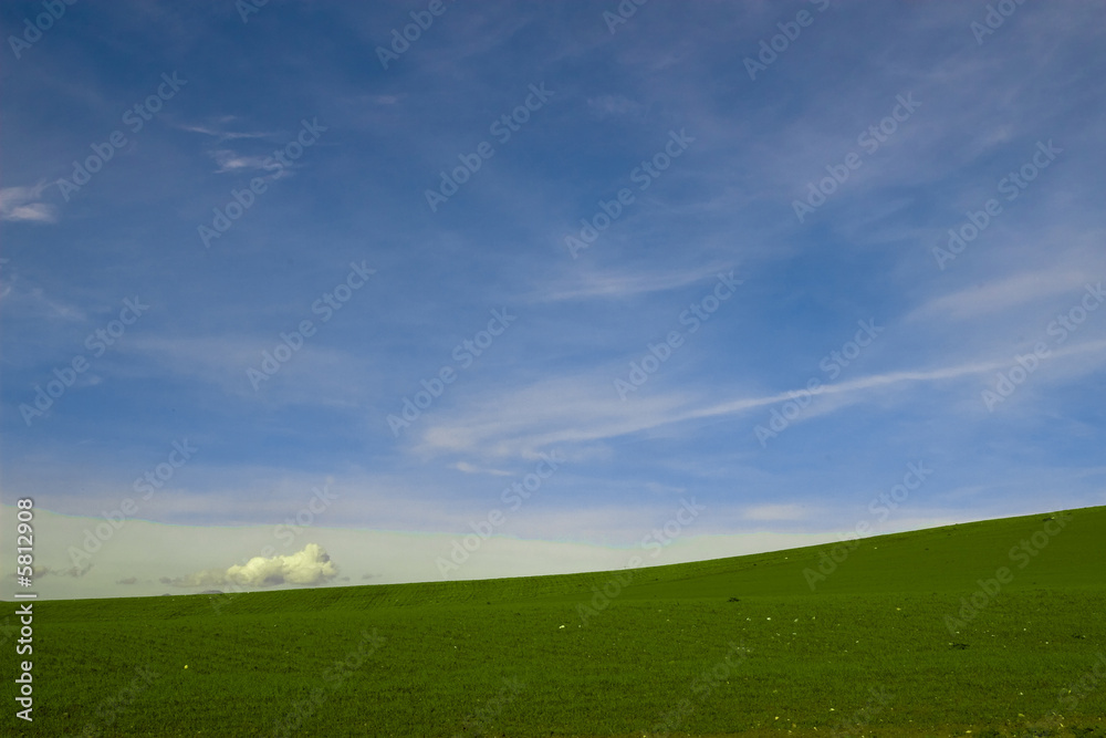 collina collina