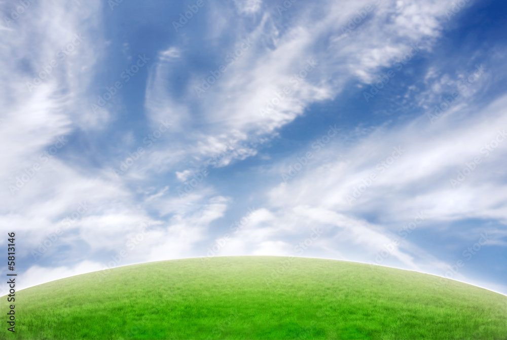 Sky background with green meadow