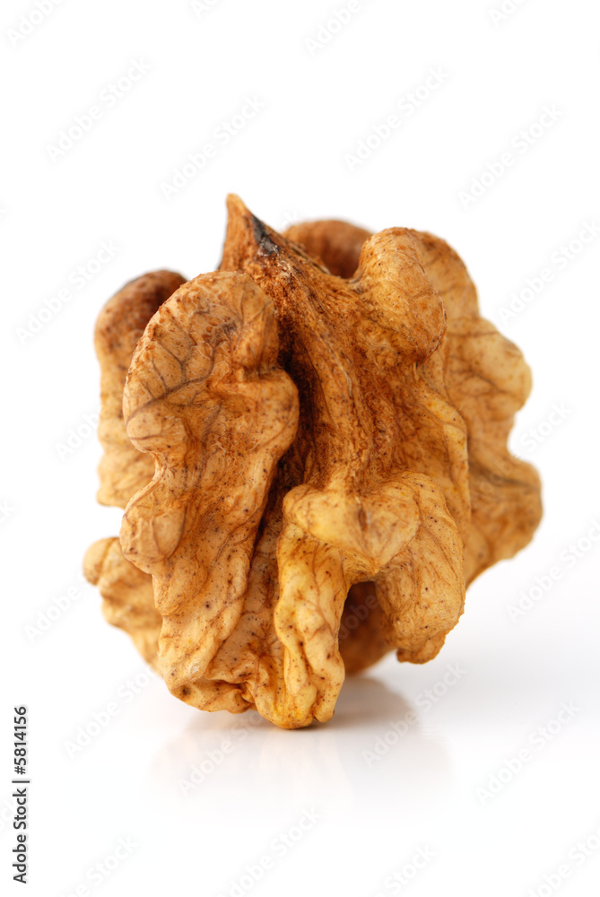 Walnut fruit Walnut fruit