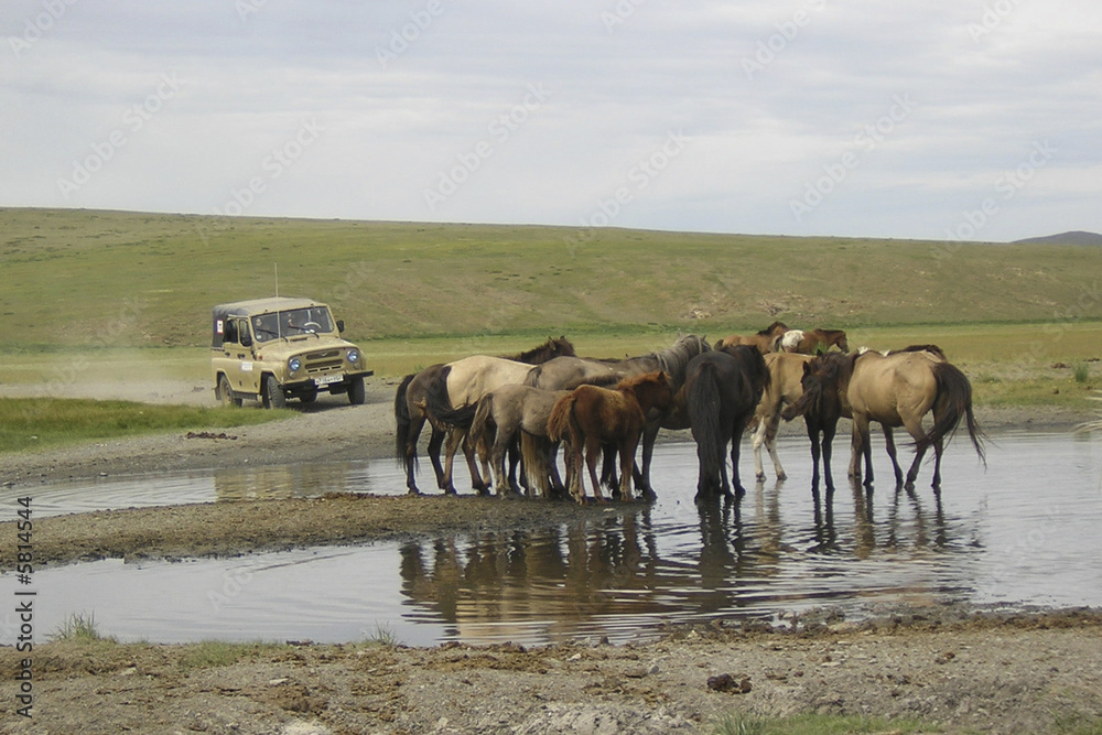 Expédition désert de Gobi en Mongolie Expédition désert de Gobi en Mongolie