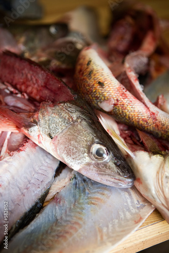 A detail image of fish freshly filleted photo
