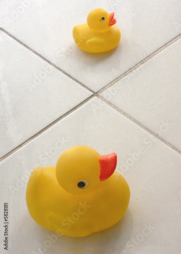 TwoYellow Ducks