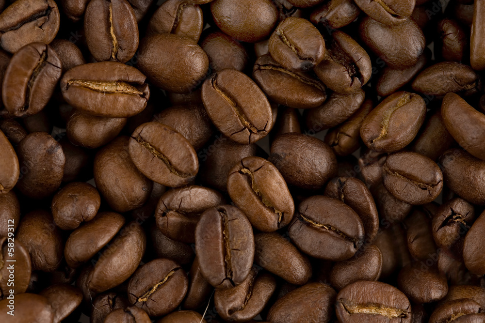 Naklejka premium coffee beans