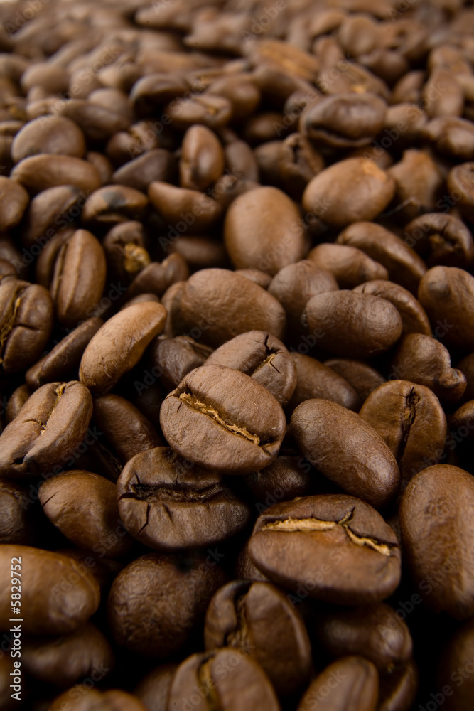 coffee beans coffee beans