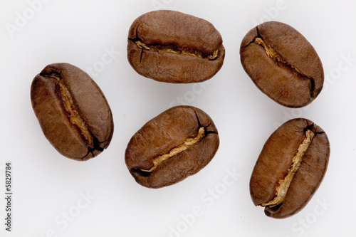 coffee beans