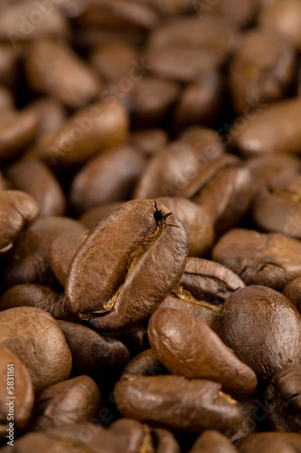 coffee beans © Gina Sanders