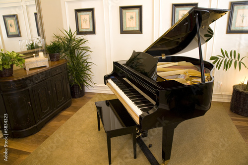 Grand piano in a modern luxury home.
