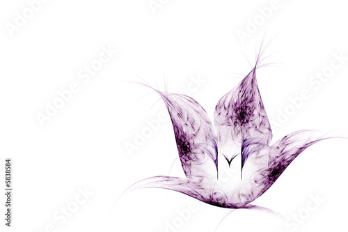 Mauve Tulip Fractal