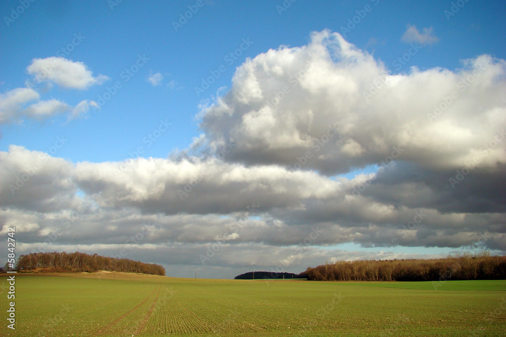 Champ cultivé dans le laonnois,ainse,picardie Champ cultivé dans le laonnois,ainse,picardie