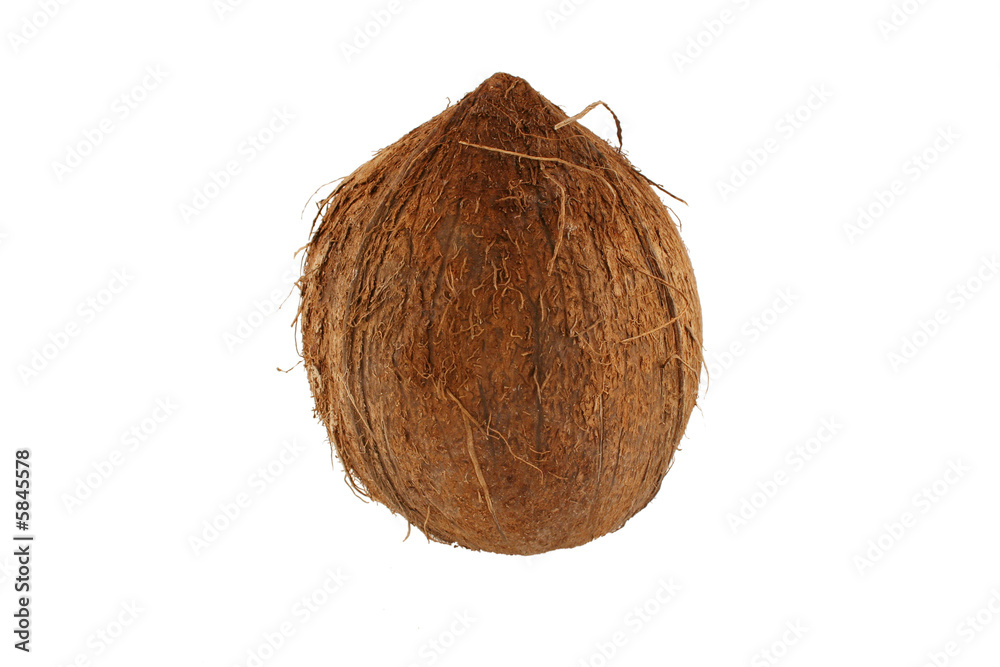 Isolated coconut on white background Isolated coconut on white background