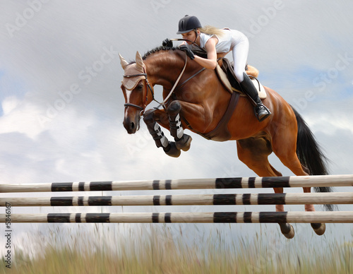 Fotografie, Tablou show jumping - stylized by oil painting