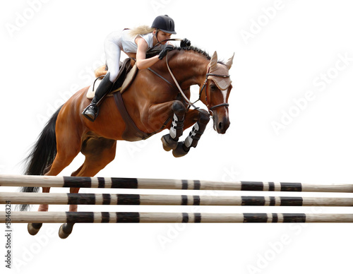 show jumping /stylized by oil painting/ - isolated on white #5846324