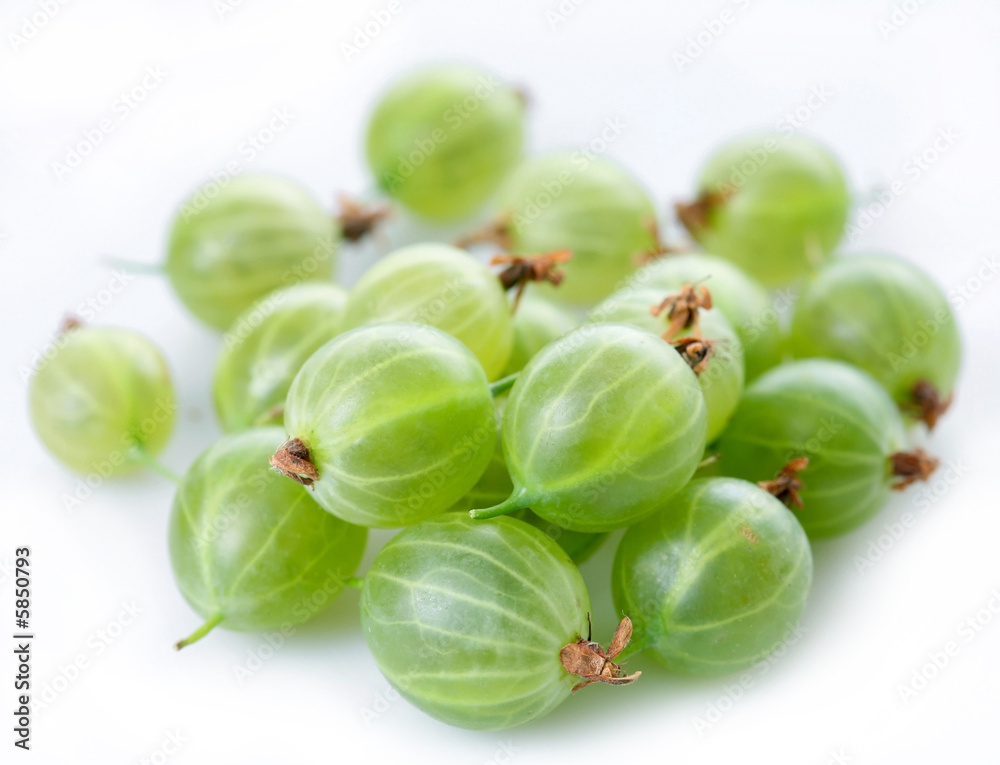 gooseberry; Objects on white background gooseberry; Objects on white background