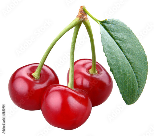 Cherry; objects on white background #5850901