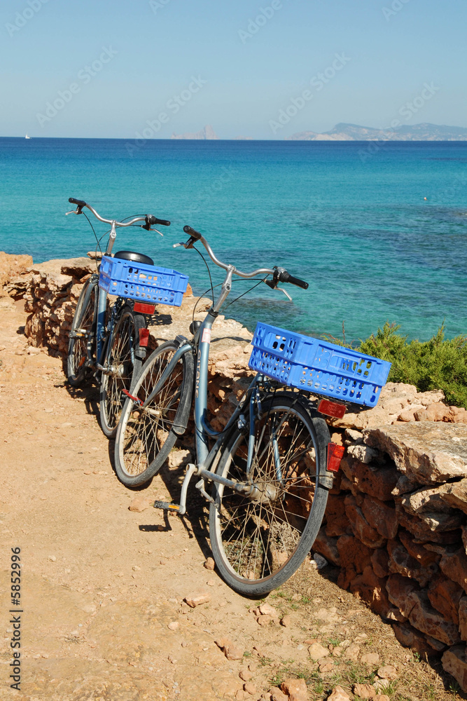 Fototapeta premium Formentera