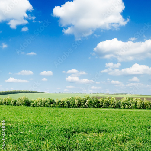 green field and beautiful white clouds