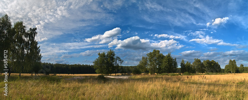 Field with blue sky