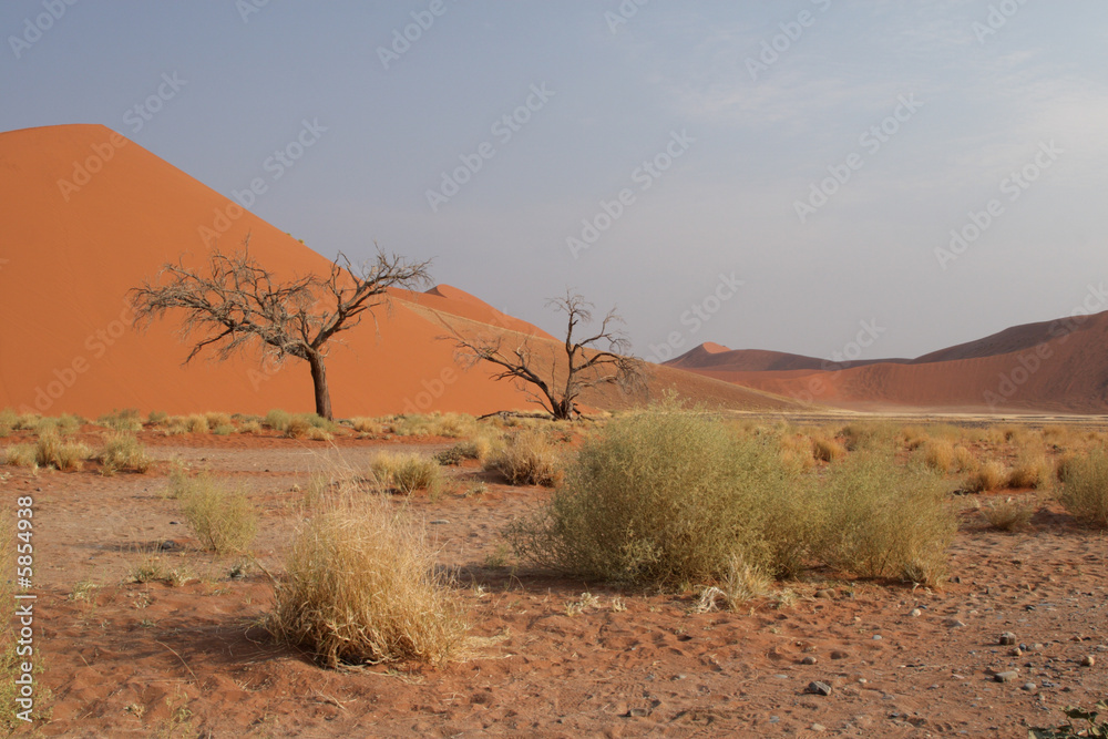 Düne in der Namib-Wüste