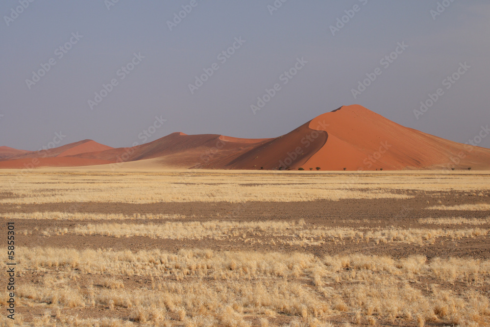 Dünen in der Namib