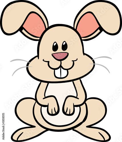 cute bunny rabbit vector illustration