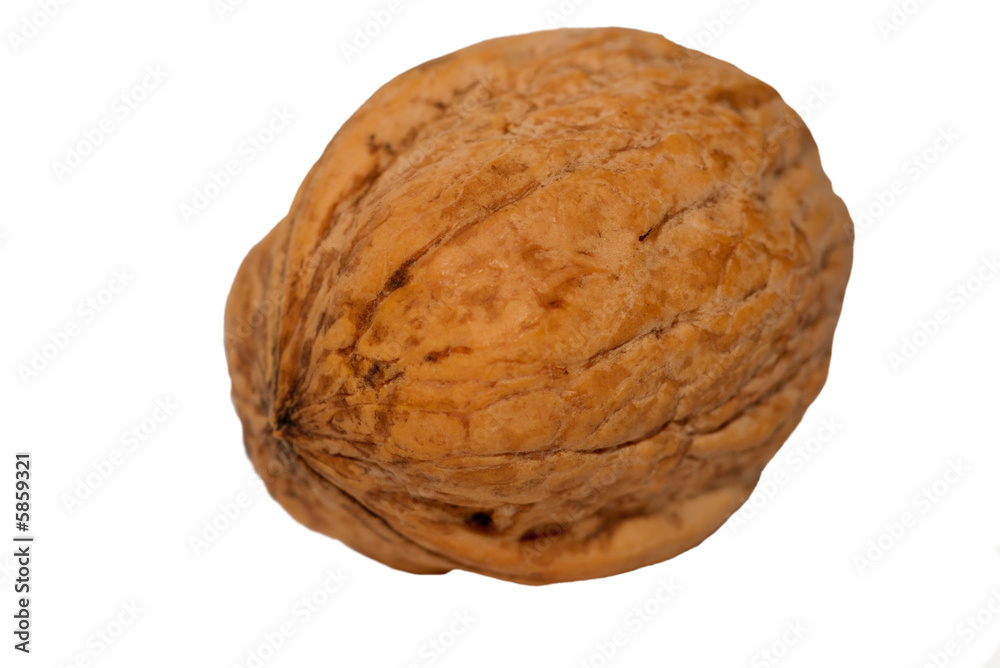 walnut on white background