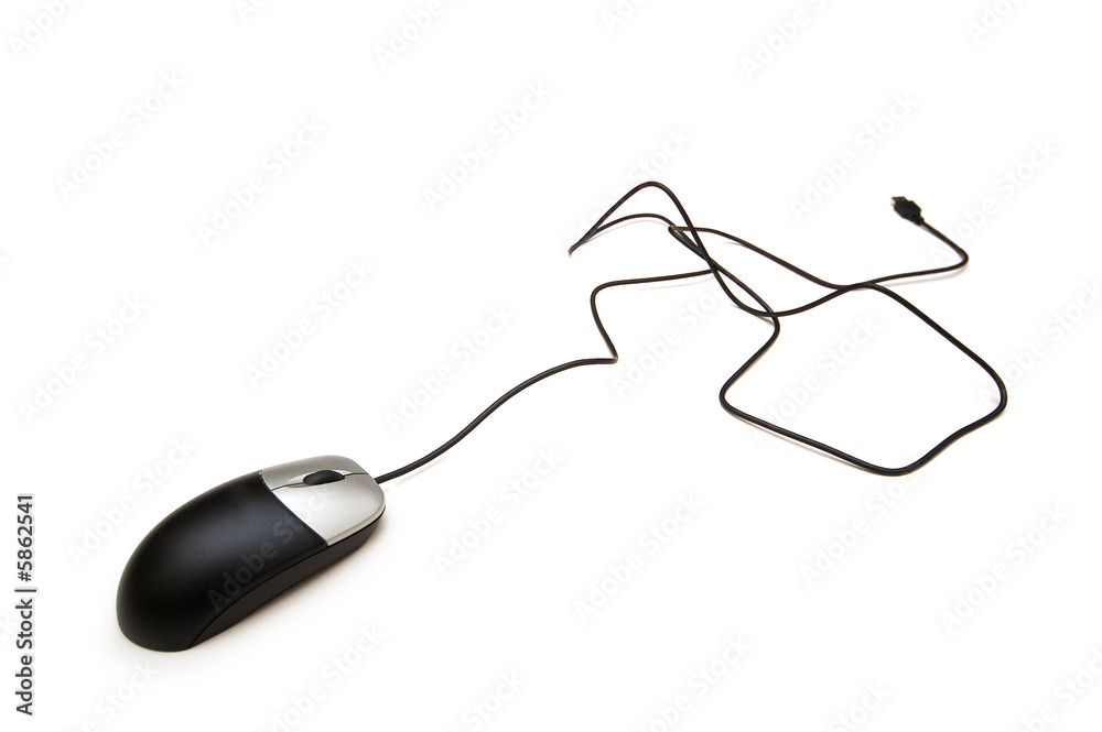 Computer mouse isolated on the white background Computer mouse isolated on the white background