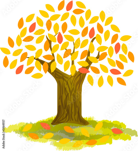 arbre en automne