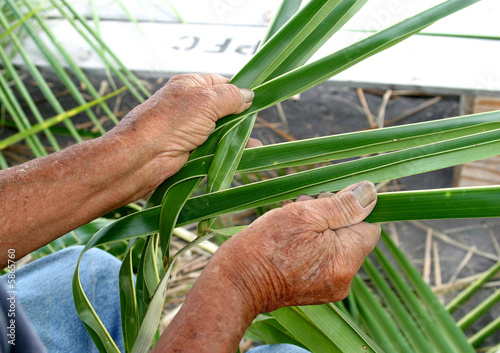 Basket Weaver in Hawaii