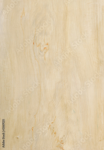 Fotografie poplar wood texture