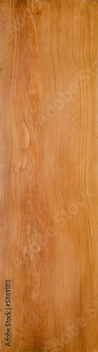 cedar tree wood texture
