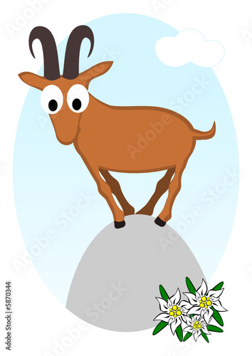 Steinbock auf Bergspitze