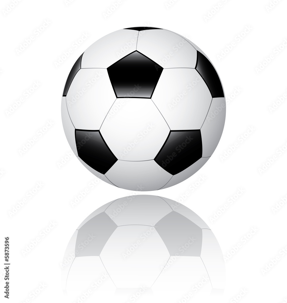 Fototapeta premium soccer ball, football
