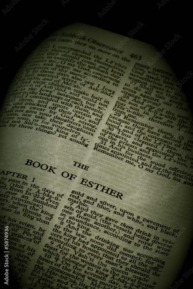 Fototapeta premium bible series,the book of esther old testament finished in sepia
