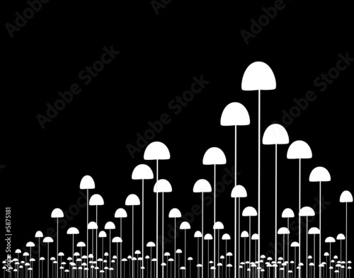 Fungi
