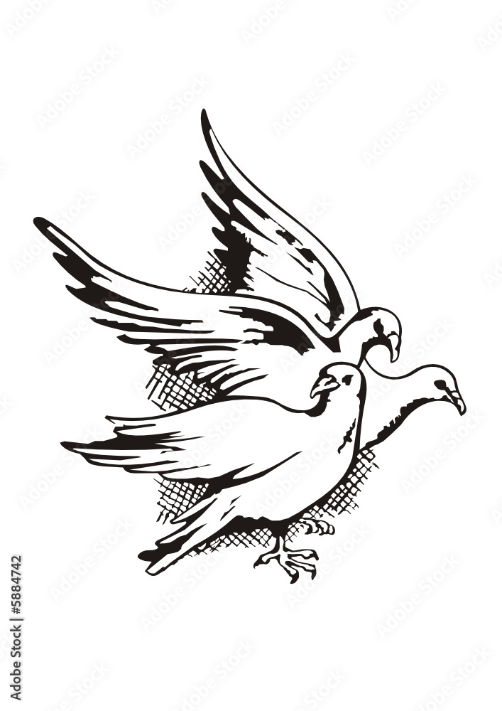 Obraz premium Paloma y paz