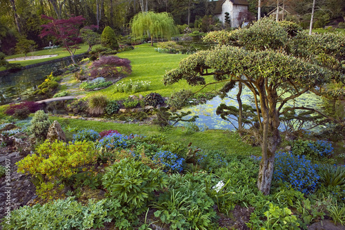 Courances,parc du chateau : jardin japonais photo