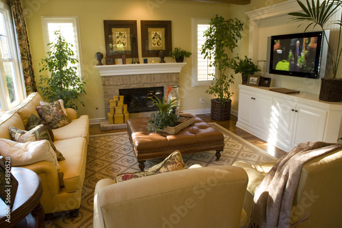 Luxury home living room with contemporary decor.