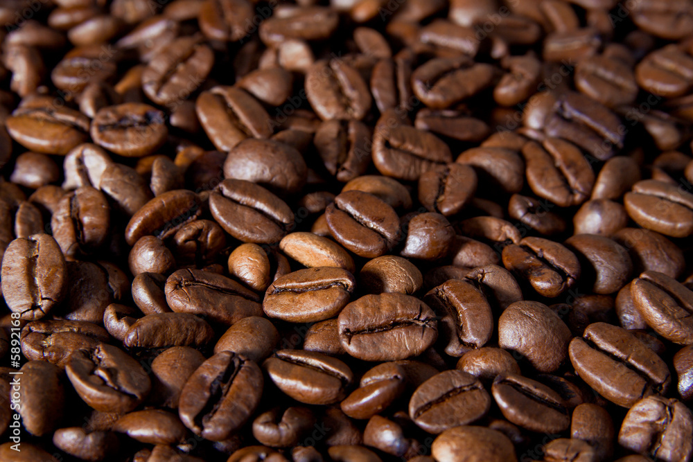 Naklejka premium Coffe beans background