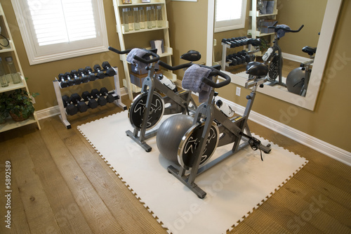 Luxury home fitness room