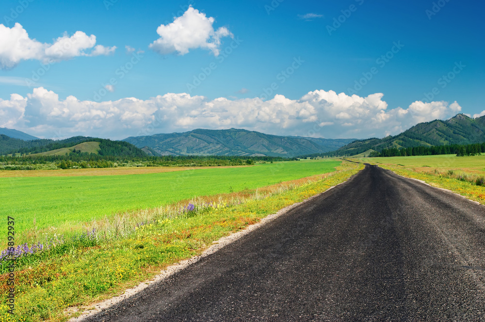 Landscape with road and green field Landscape with road and green field